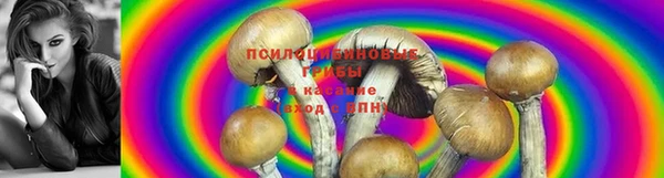 mdpv Беломорск