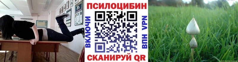Псилоцибиновые грибы ЛСД  Купить где  Усолье 